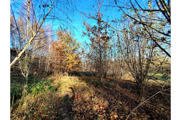 myślenicki, Dobczyce, Dziekanowice, Widokowa działka bud. 15a Dziekanowice /Wieliczka