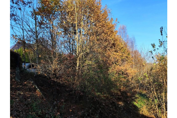 myślenicki, Dobczyce, Dziekanowice, Widokowa działka bud. 15a Dziekanowice /Wieliczka