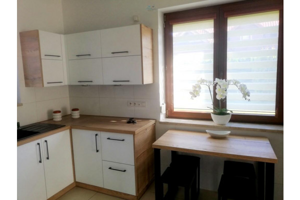 Kraków, Kraków-Podgórze, Leona Petrażyckiego, Dom wolnostojący 6 pokoi / 260m2 na działce 1000m2 Kraków Podgórze Dębniki