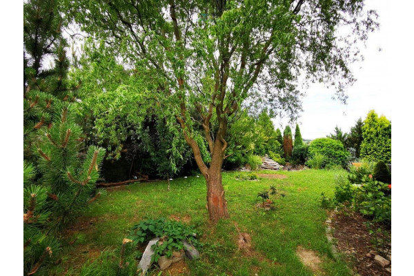 Kraków, Zielonki, Krakowskie Przedmieście, Dom 185m2/6a ZIELONKI pod Krakowem