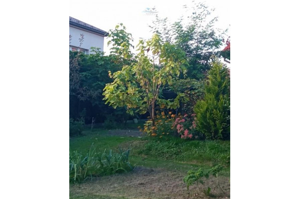 Kraków, Zabierzów, Rudawa, Dom wolnostojacy 150m2, 5-pok./12a Rudawa